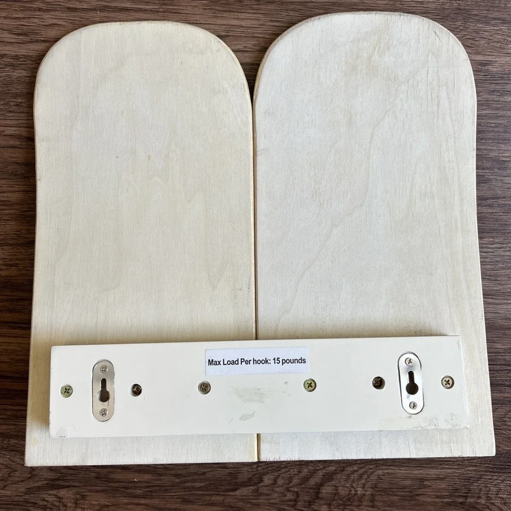 Pottery Barn Teen Wall Mounted SKATEBOARD HOOKS Decor‎ Skater Art Zio Ziegler